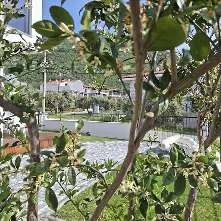 Olive Hill 1 *